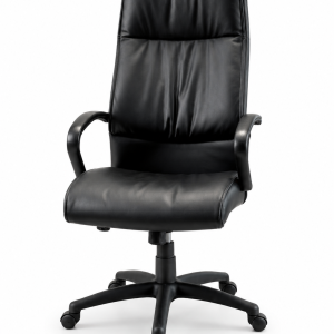 Executive Office Chair